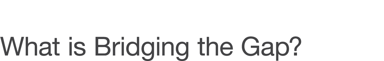 What is Bridging the Gap 