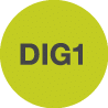 DIG1