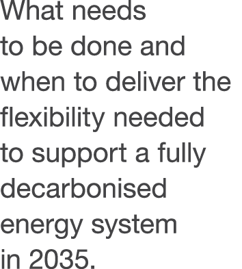 What needs to be done and when to deliver the flexibility needed to support a fully decarbonised energy system in 2035  