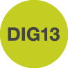 DIG13