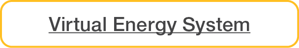 Virtual Energy System