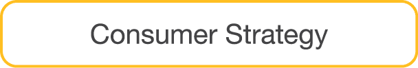 Consumer Strategy 