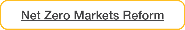 Net Zero Markets Reform