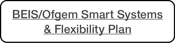 BEIS Ofgem Smart Systems & Flexibility Plan