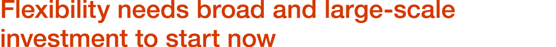 Flexibility needs broad and large-scale investment to start now