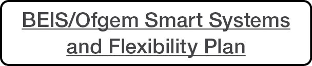 BEIS Ofgem Smart Systems and Flexibility Plan