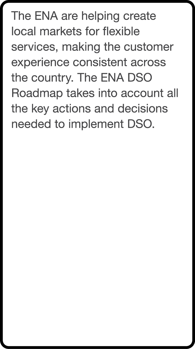 The ENA are helping create local markets for flexible services, making the customer experience consistent across the    