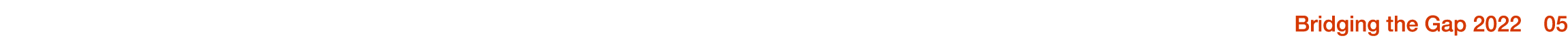 Bridging the Gap 2022  05