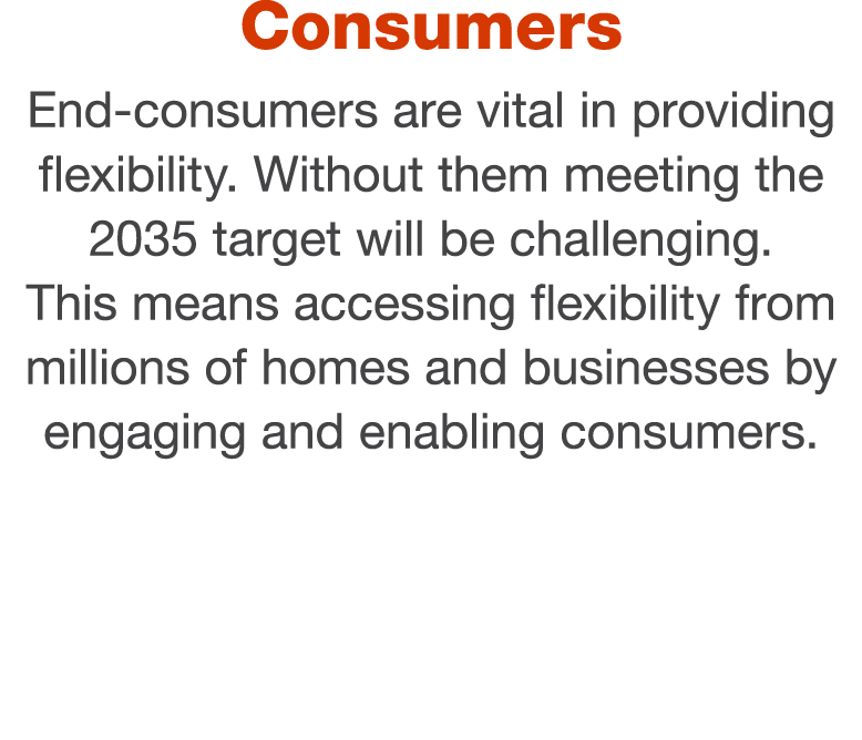 Consumers End-consumers are vital in providing flexibility  Without them meeting the 2035 target will be challenging    