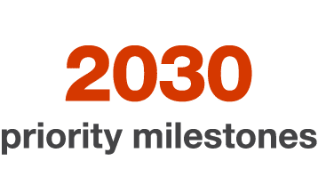 2030 priority milestones