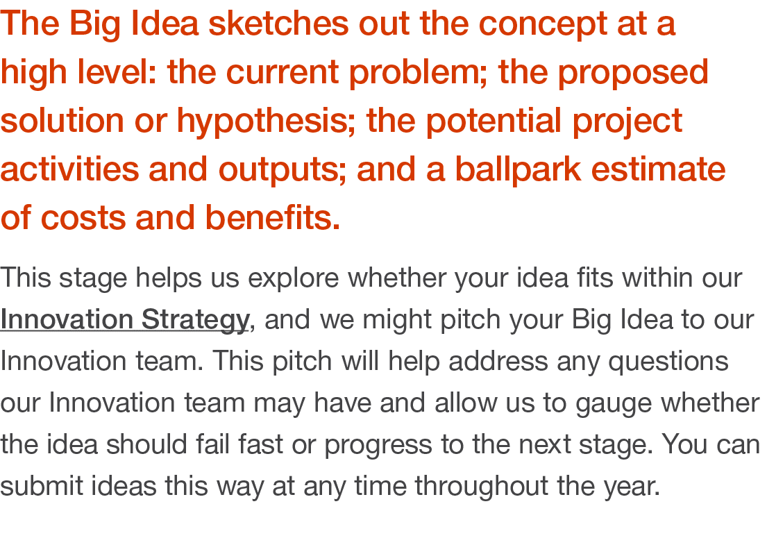 The Big Idea sketches out the concept at a high level: the current problem; the proposed solution or hypothesis; the    