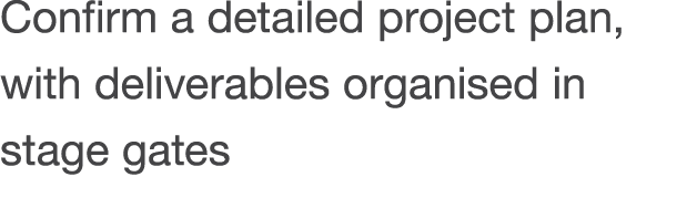 Confirm a detailed project plan, with deliverables organised in stage gates