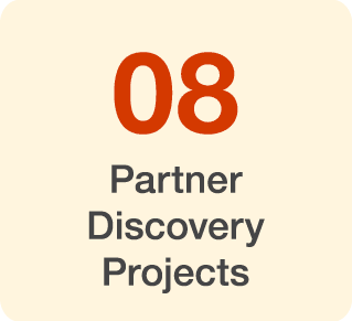 08 Partner Discovery Projects 