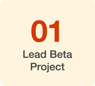 01 Lead Beta Project