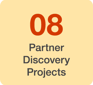 08 Partner Discovery Projects 