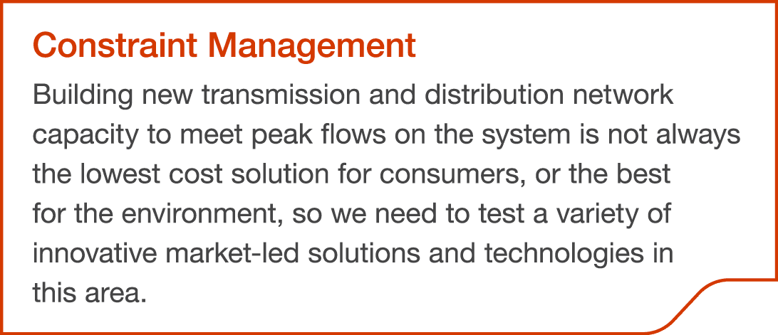 Constraint Management Building new transmission and distribution network capacity to meet peak flows on the system is...